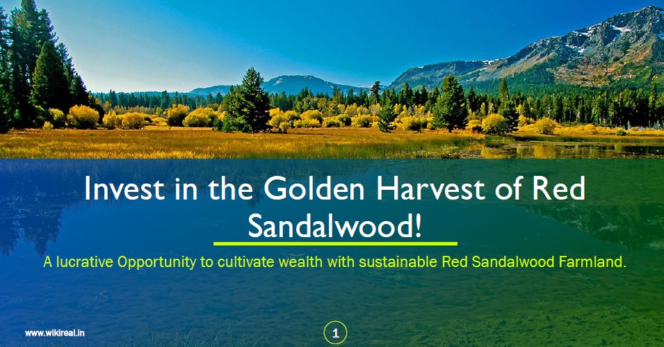 Wiki Real Property 1